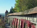 viator-harburg-tour