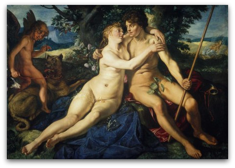 alte-pinakothek-venus-and-andonis
