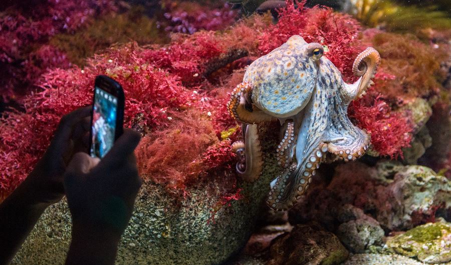 Aquarium-Tierpark-Hellabrunn