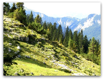 bavarian-alps-walking