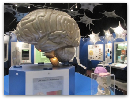 brain-museum-munich