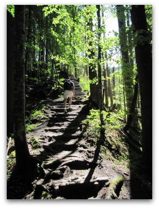 forest-near-garmisch