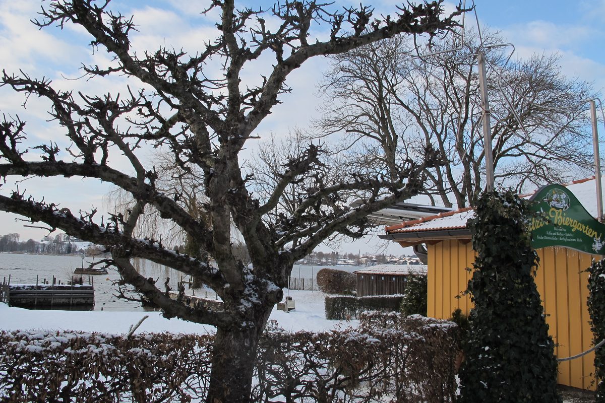 Snowy shore of the Fraueninsel on the Chiemsee