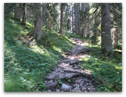 hiking-trail-garmisch-partenkirchen