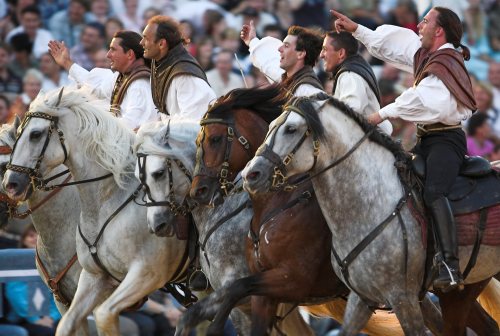 horsemen of the north