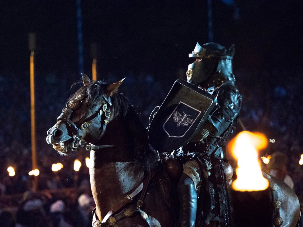 Darth Neigh-der! Part of the arena show.