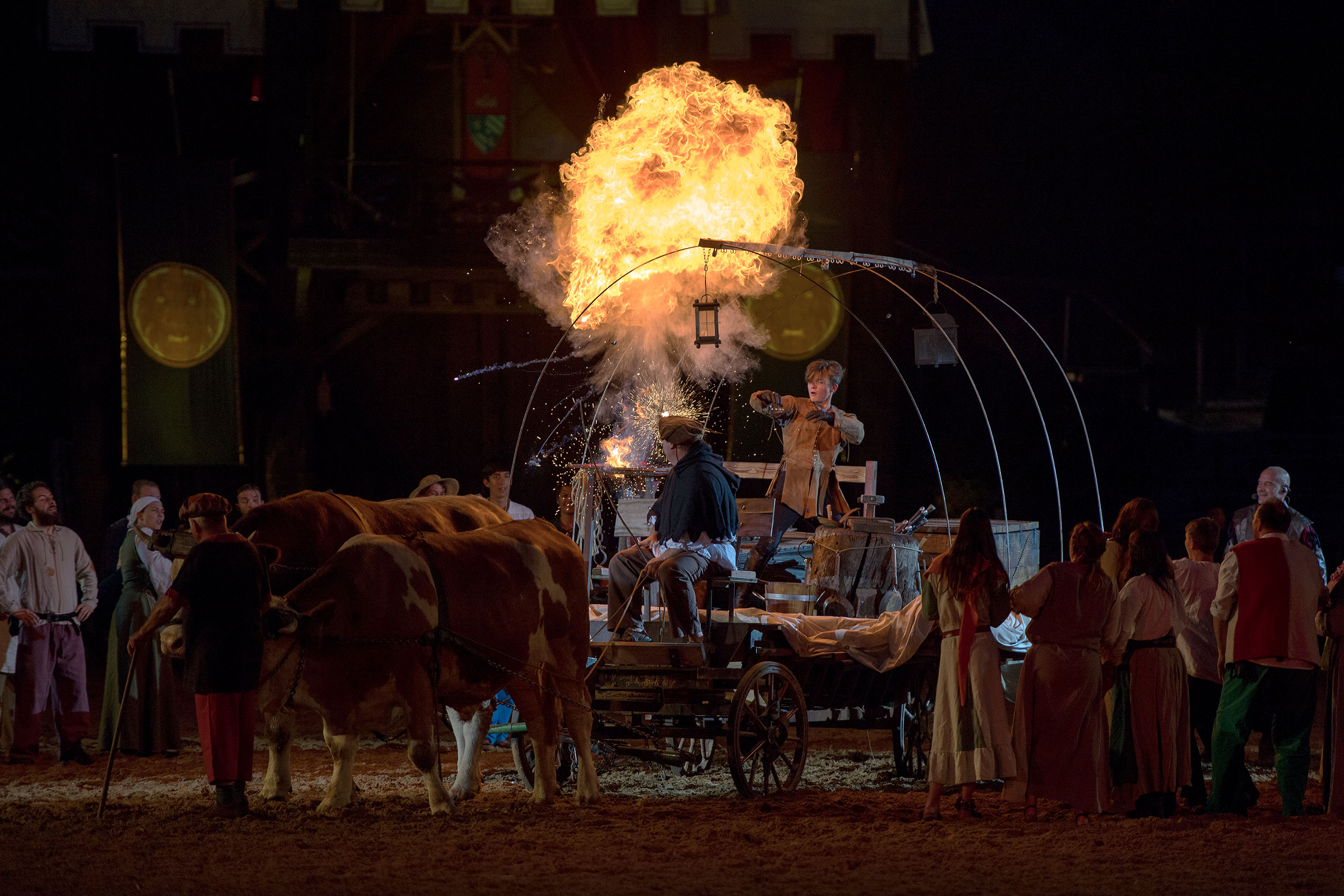 kaltenberger Knights Festival fun