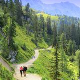 konigshaus-pictures-link