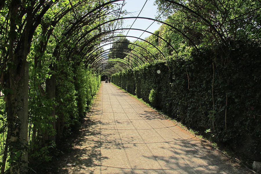 mirabell gardens arbour
