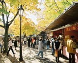 munich-auer-dult-thumb