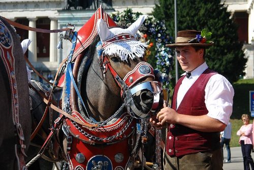 munich-oktoberfest-2013-horse