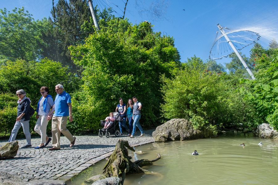 munich-zoo-tierpark-hellabrunn