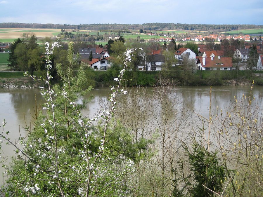 danube view neuburg