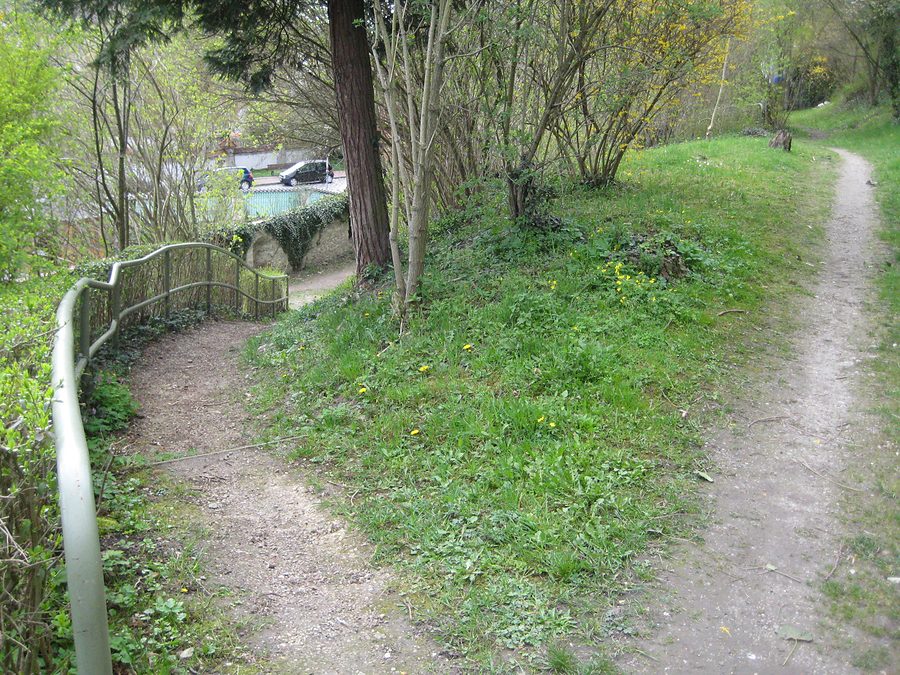 riverside path neuburg