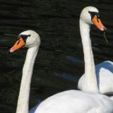 nymphenburg-palace-photos-link