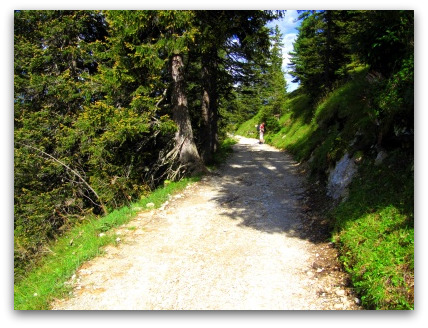 path-to-ludwigs-konigshaus