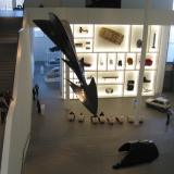 pinakothek-der-moderne-link