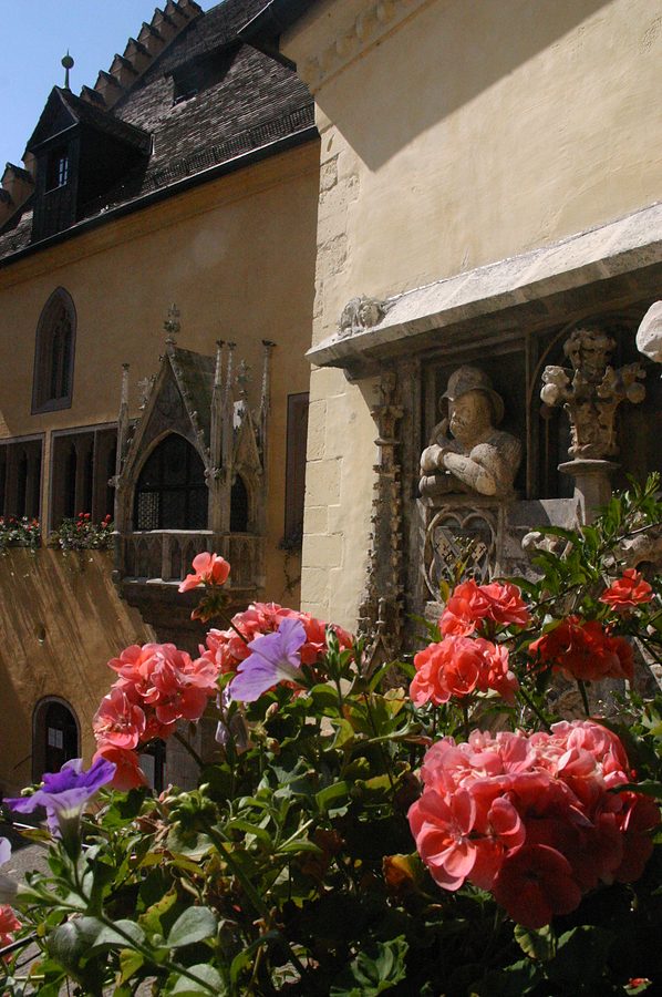 flowers old town regensburg