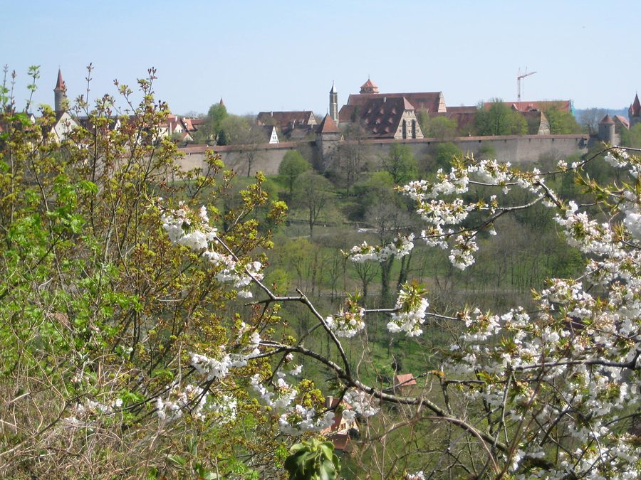tauber valley rothenburg blossom