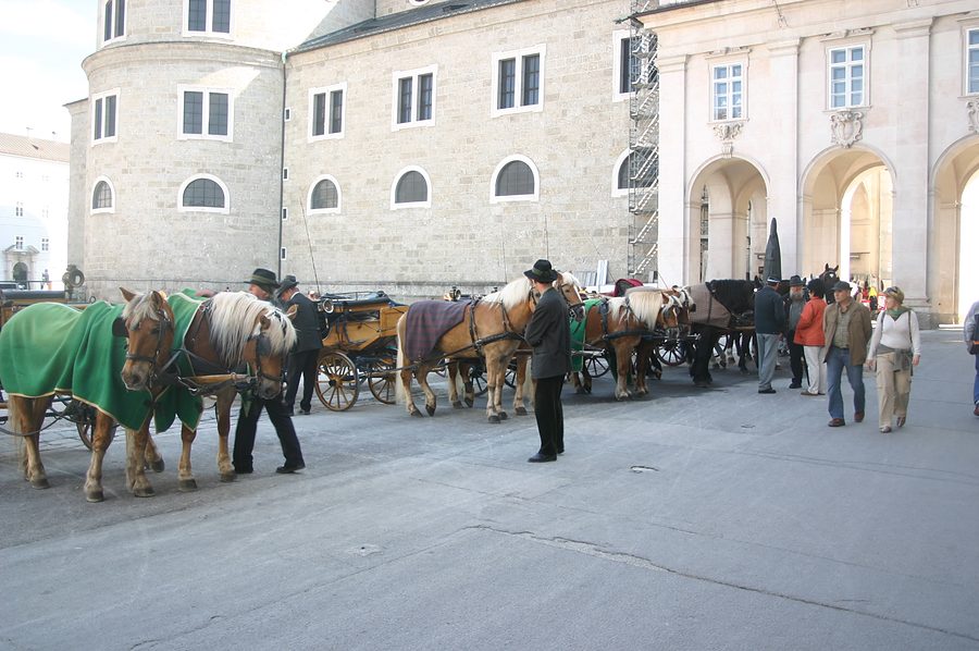fiaker horses salzburg